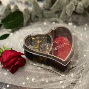 Laurel Heart Music Box Acrylic Music Storage Box Valentine Decor Music